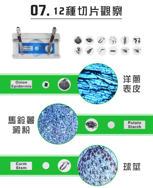 Andonstar AD102 4.3吋螢幕數位生物教學顯微鏡