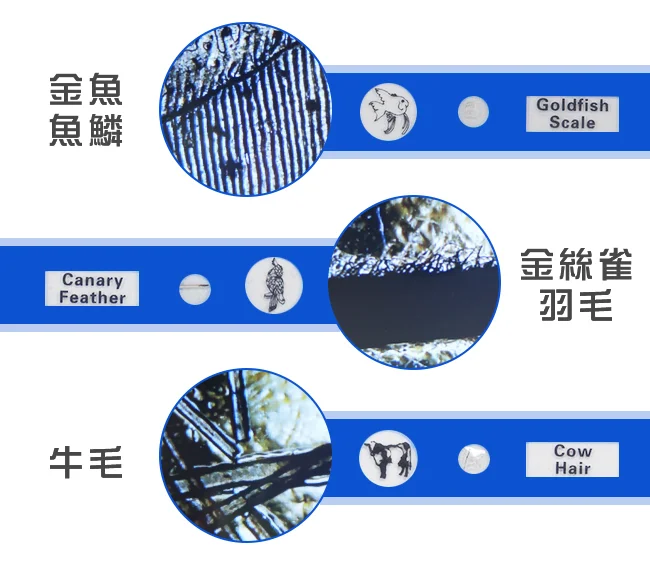 Andonstar AD102 4.3吋螢幕數位生物教學顯微鏡
